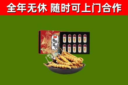 绥化市回收冬虫夏草价格